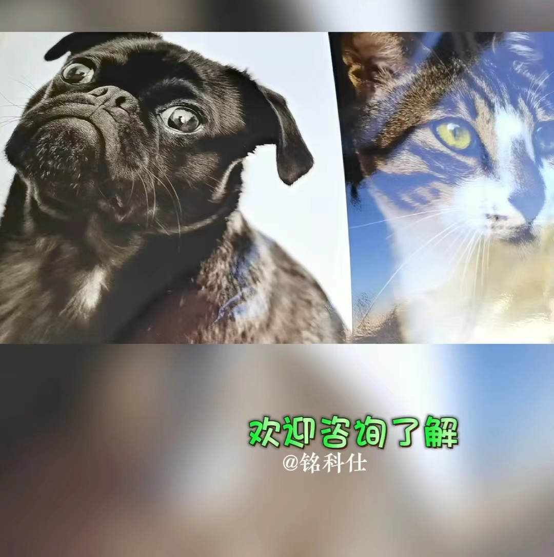 小型uv平板打印機(jī)，有圖就能打印，無需制板支持小批量個(gè)性定制